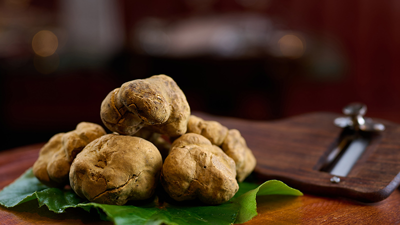 white truffle