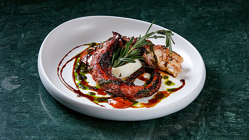 Grilled octopus legs paired with fresh Bratta cheese and spicy bell pepper sauce