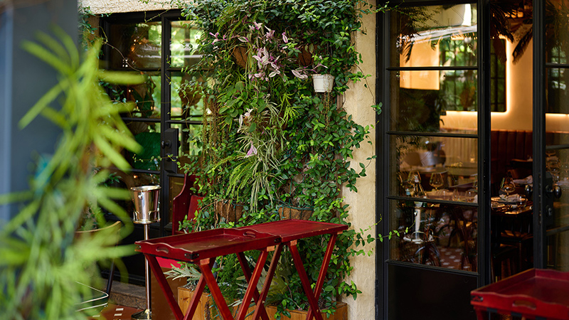 Restaurant  Environment